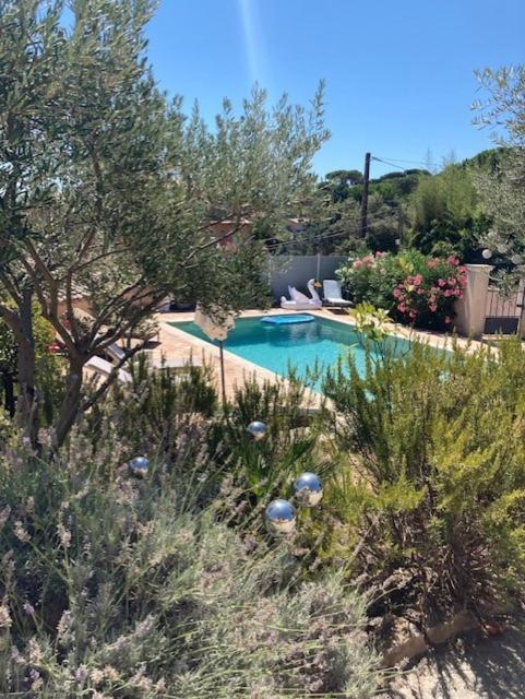 Lone Star House Bed and Breakfast Sainte-Maxime Exteriör bild
