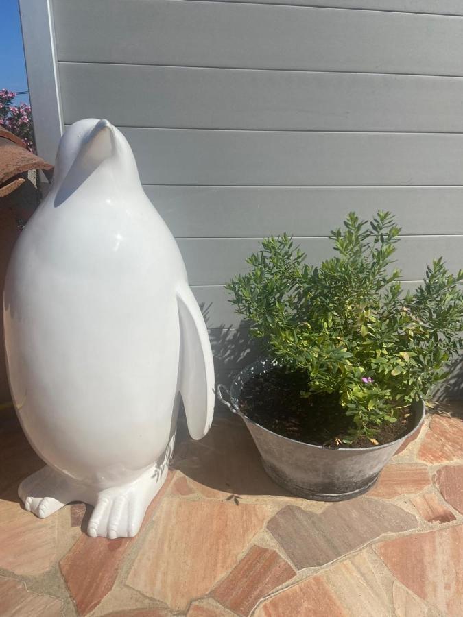Lone Star House Bed and Breakfast Sainte-Maxime Exteriör bild
