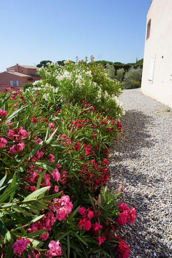 Lone Star House Bed and Breakfast Sainte-Maxime Exteriör bild